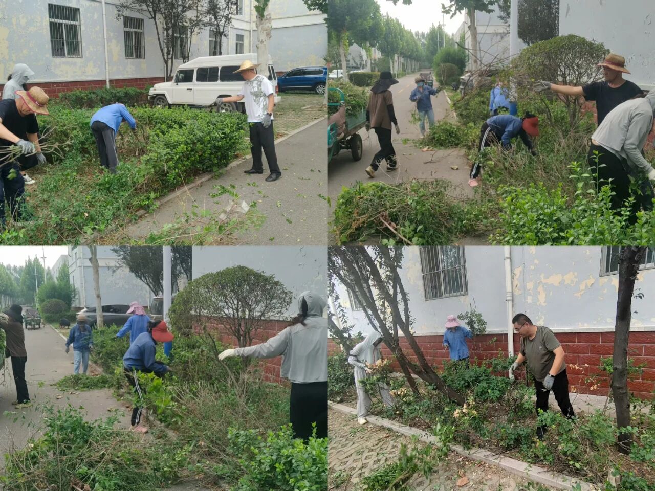 【魯南電商】共建美麗園區(qū)，我們在行動(dòng)！